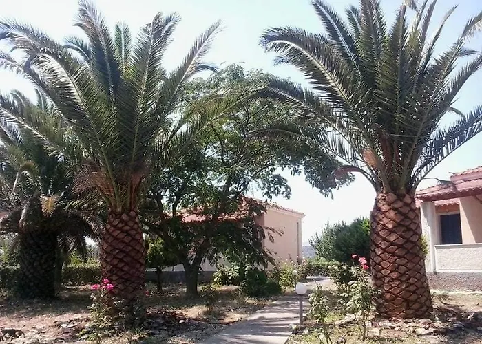 Oasis Studios