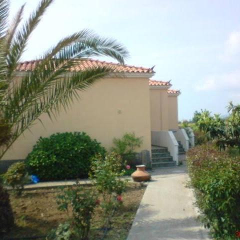 Oasis * Skala Kallonis