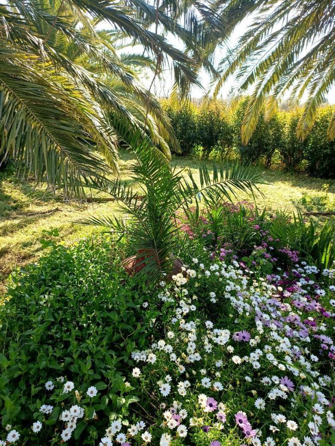 Ferienhaus Oasis Skala Kallonis