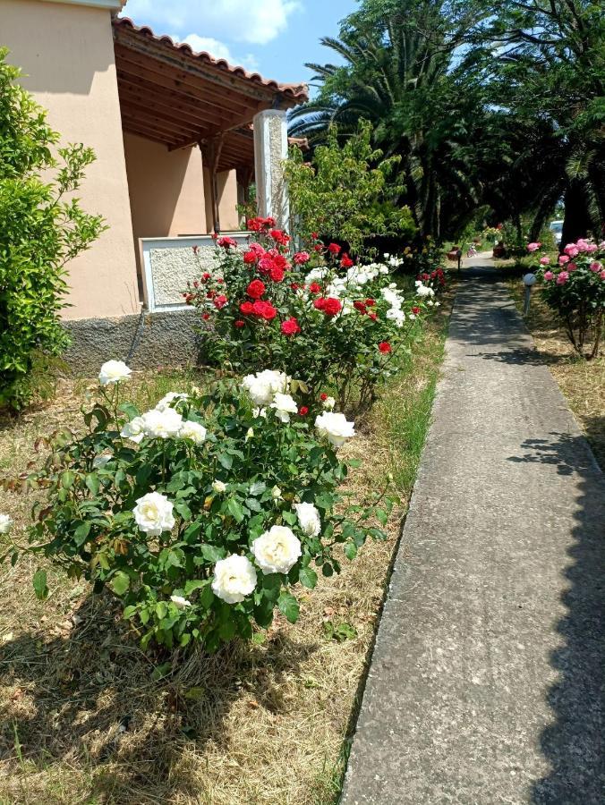 Oasis Ferienhaus *