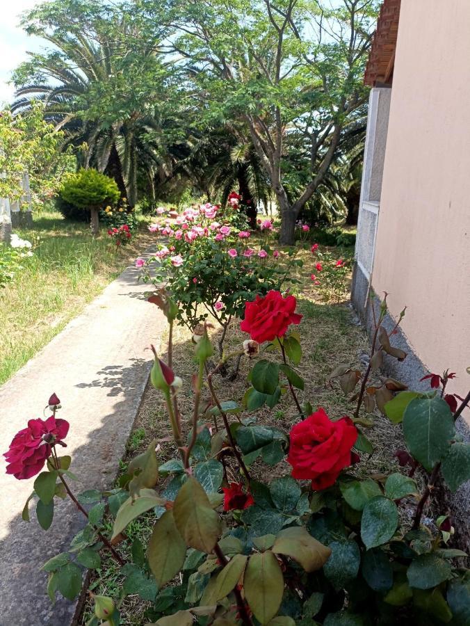 Ferienhaus Oasis Skala Kallonis